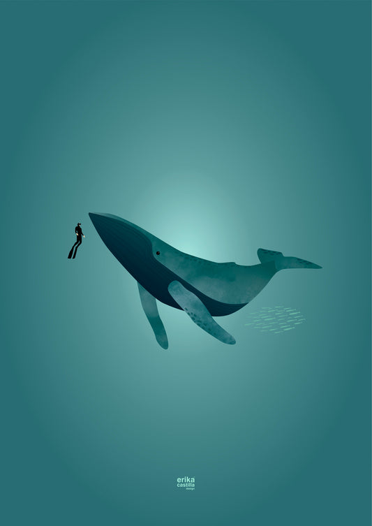 Apnea A4 Innside Sheet