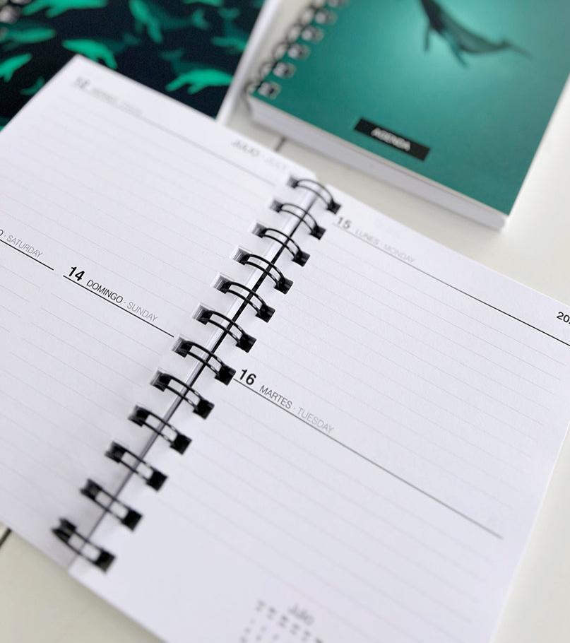 Agenda 2026 Dream On