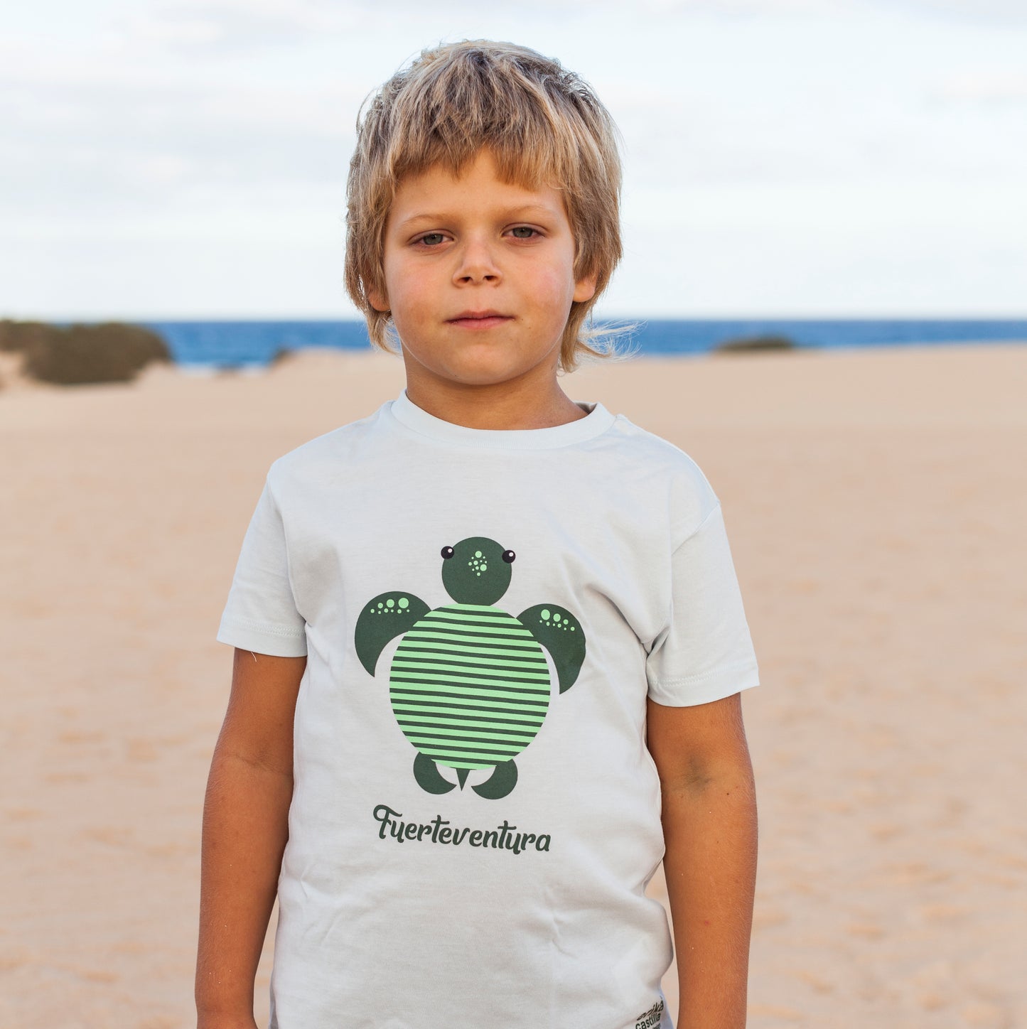Camiseta Tortuga Rayas - Mojo Art Shop