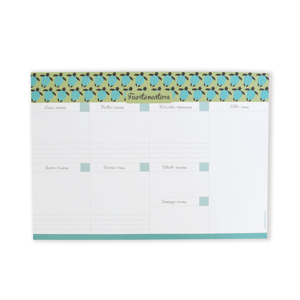 Organizador Semanal Tortugas - Mojo Art Shop