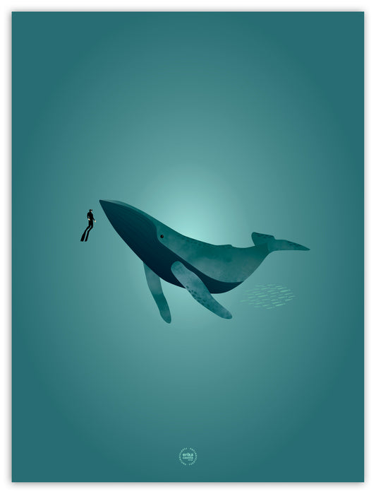 Apnea 30x40 Print